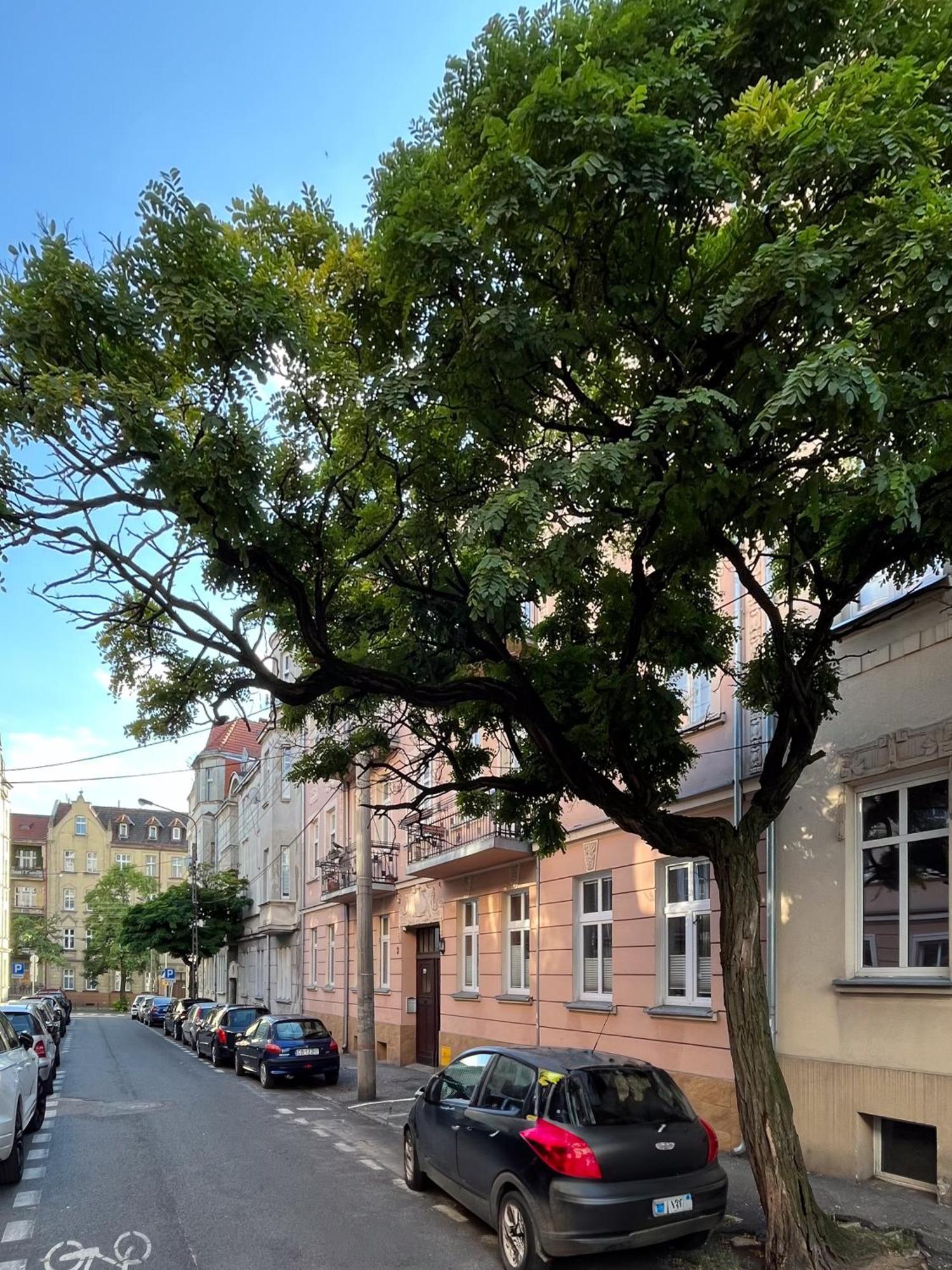 Apartment Dlugosza 3 - W Domu - Idealny Na Dlugie Pobyty I Weekendy *